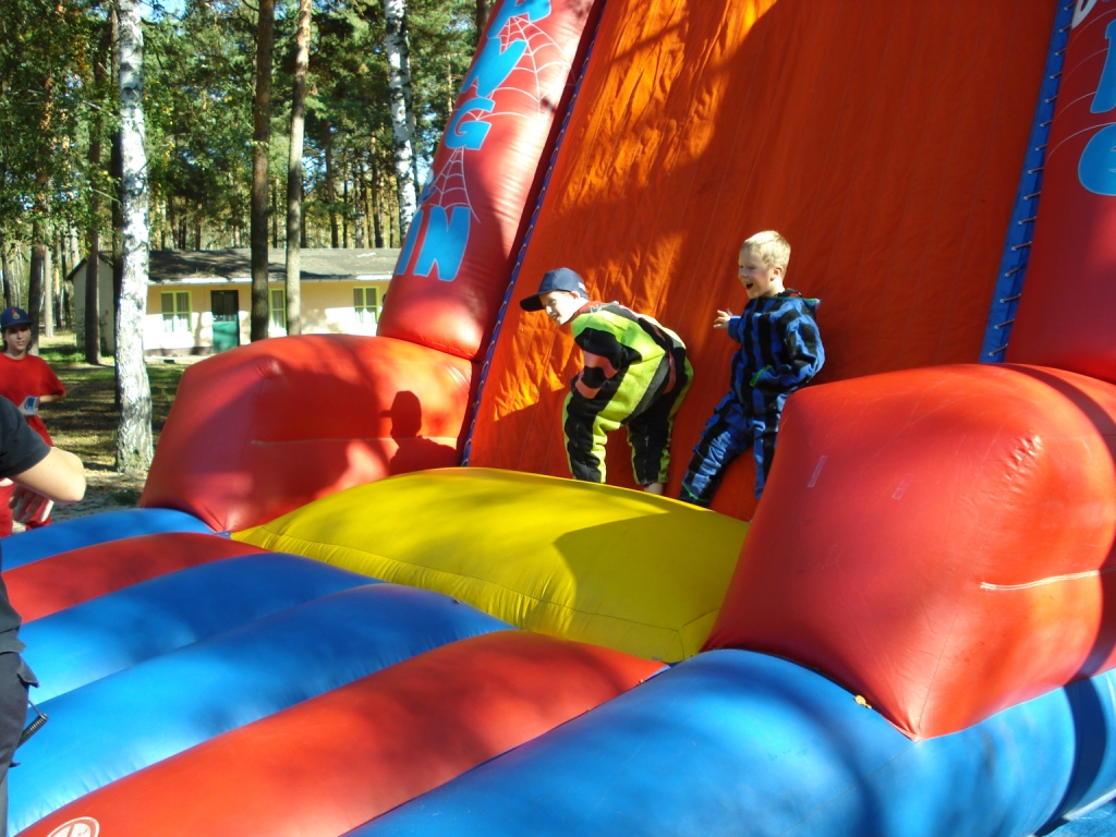bild 235
