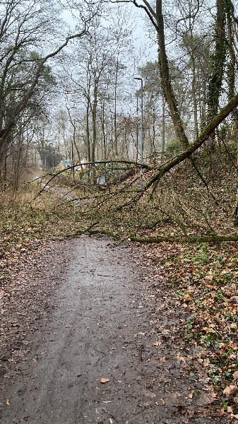 Hilfeleistung Hilfeleistung