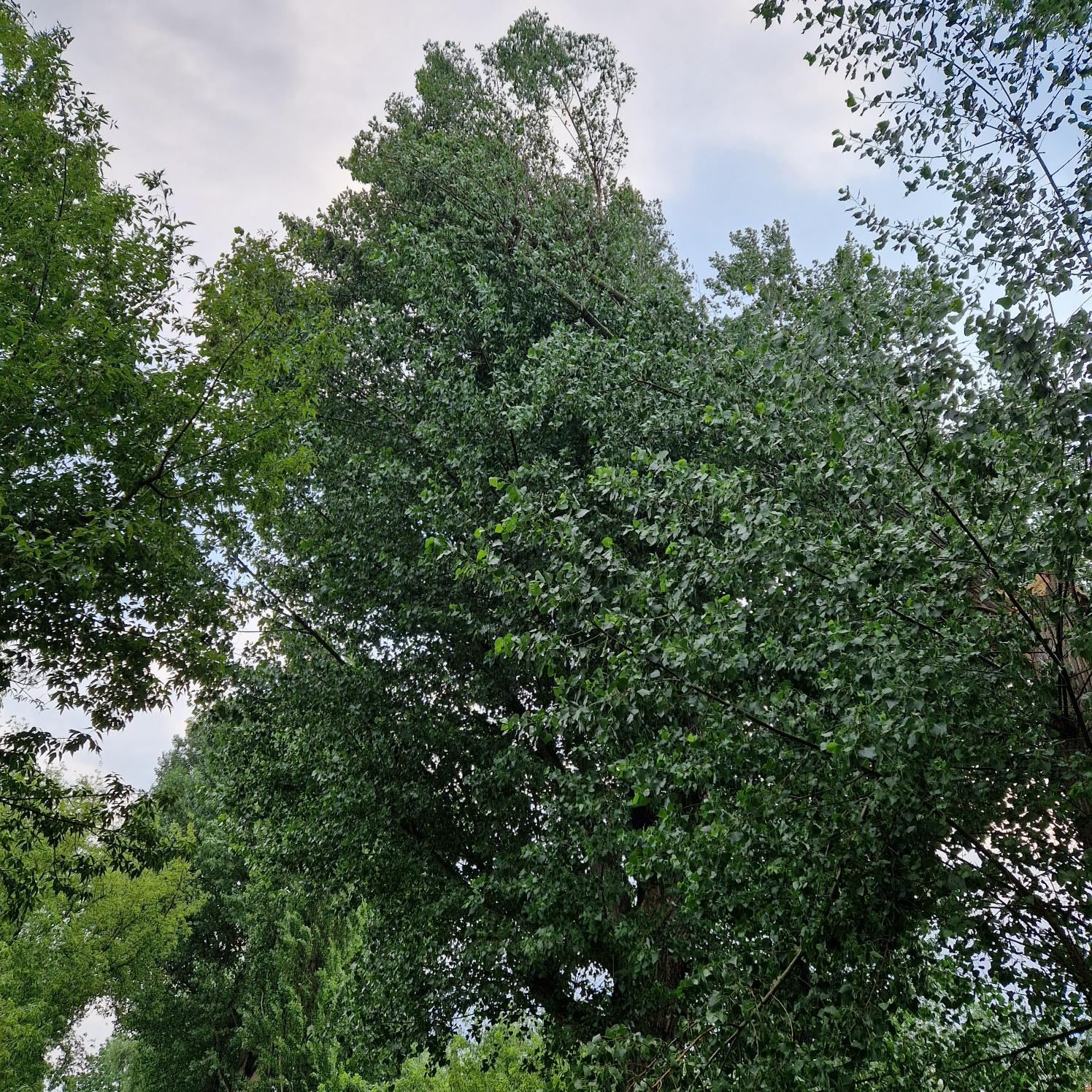 Hilfeleistung Hilfeleistung