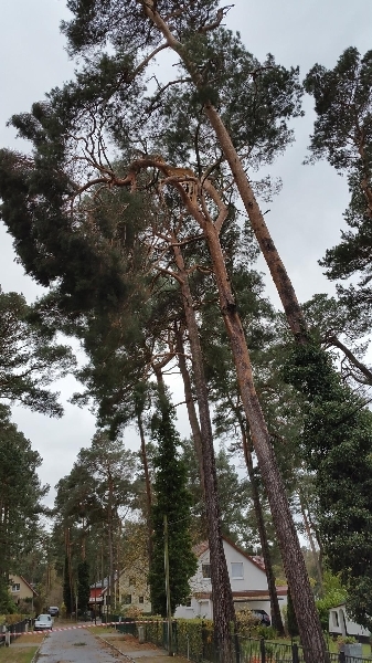 Hilfeleistung Hilfeleistung
