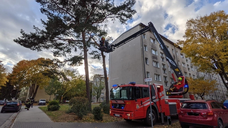 Hilfeleistung Hilfeleistung