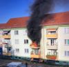Brand